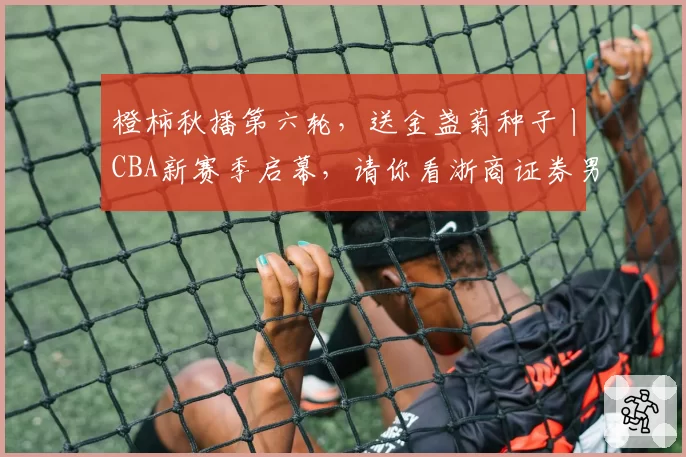 橙柿秋播第六轮，送金盏菊种子丨CBA新赛季启幕，请你看浙商证券男篮主场首秀