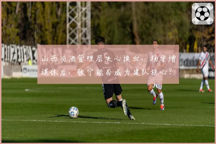 山西汾酒管理层决心换血,杨学增退休后,张宁能否成为建队核心?