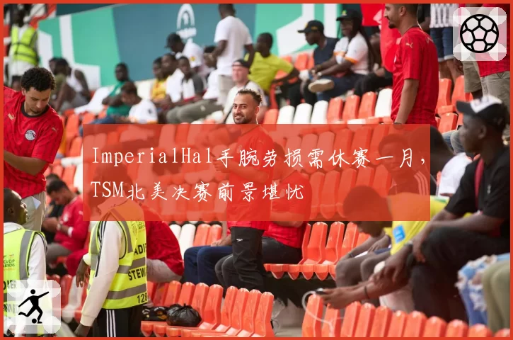 ImperialHal手腕劳损需休赛一月,TSM北美决赛前景堪忧